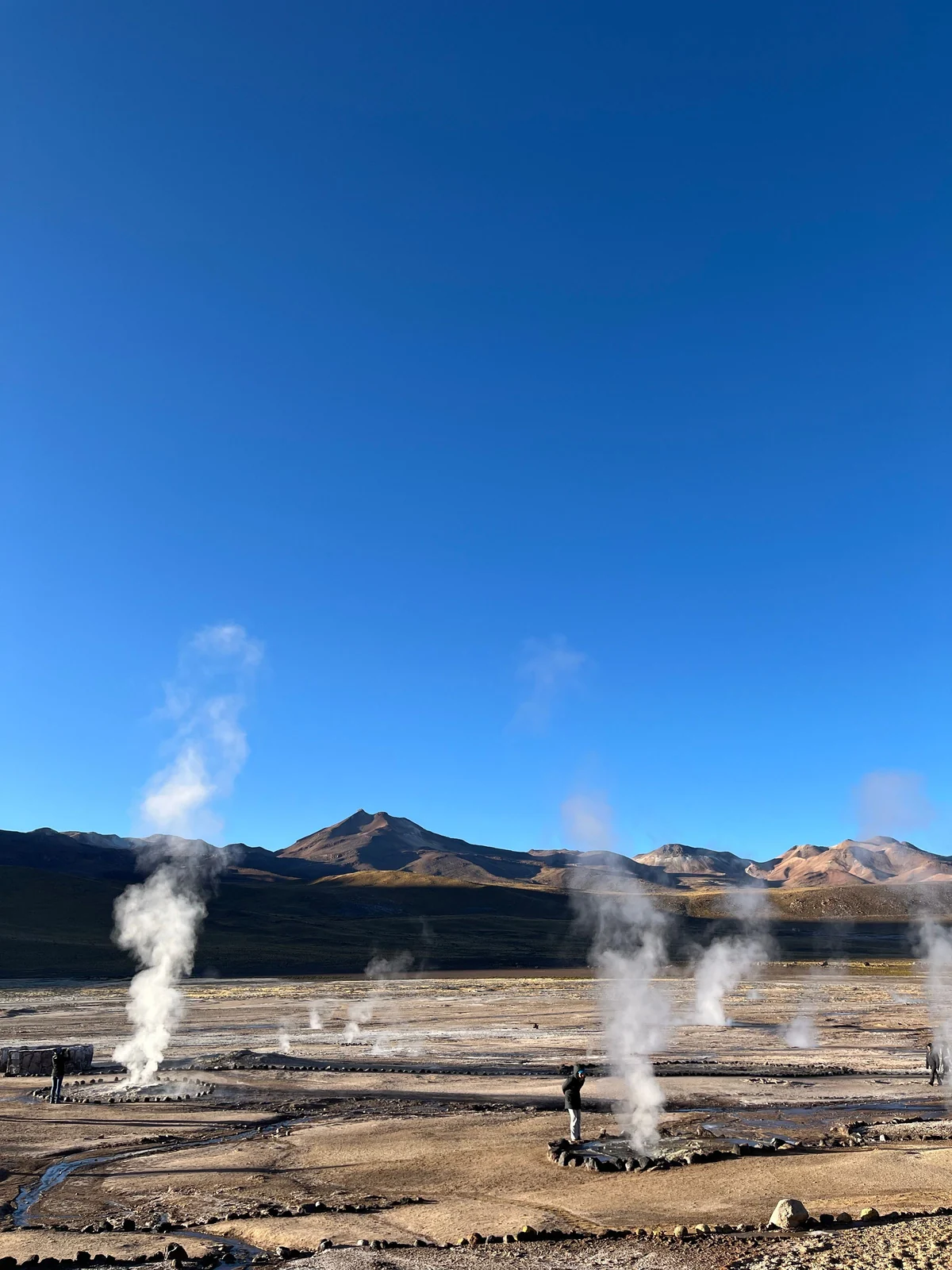 Colunas de vapor dos Geysers del Tatio sob o céu azul da manhã