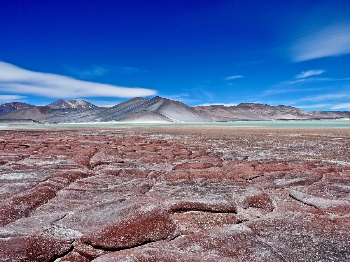 Rochas vermelhas de Piedras Rojas à beira do salar, com a cordilheira ao fundo