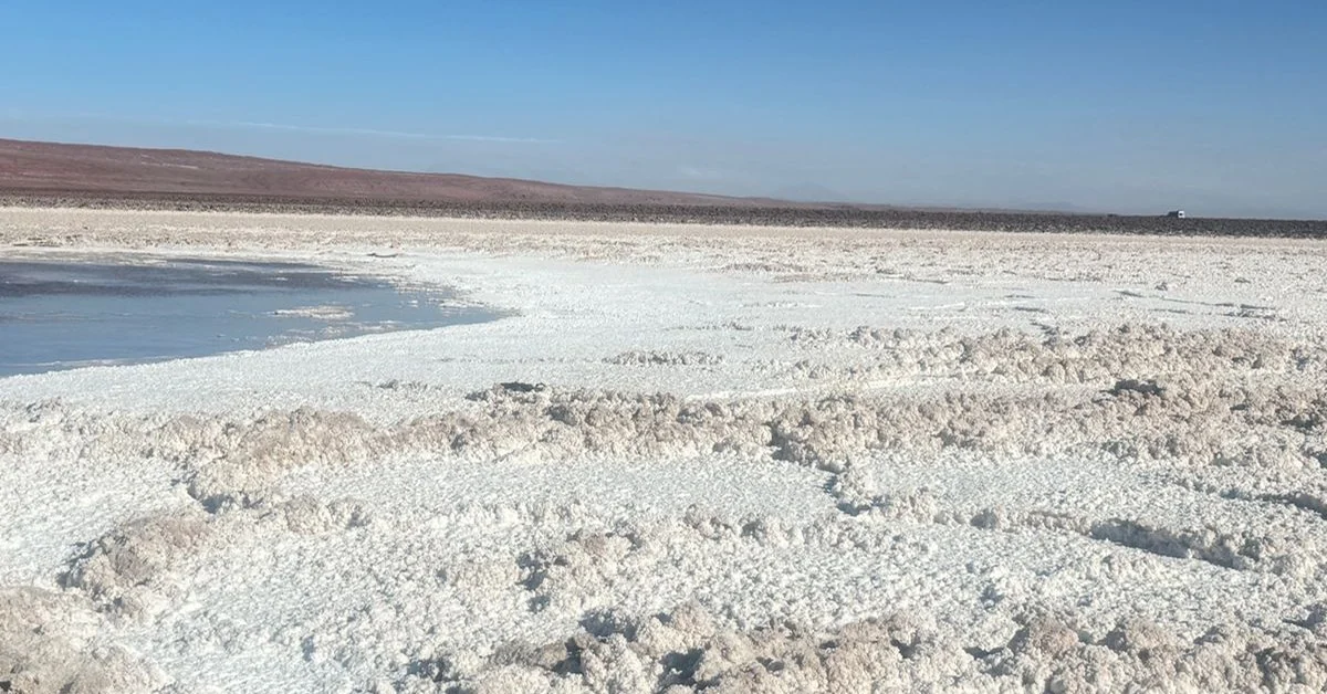 Crosta branca de sal à beira de uma laguna no Salar de Atacama